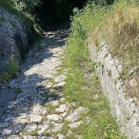 Oda ve Kahvaltı Dei In *
